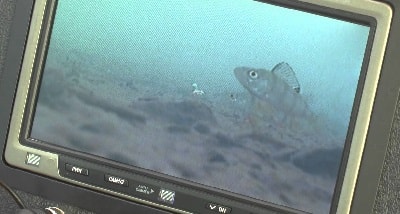 Камера для подводной съемки рыбалки
