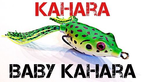 «Frog» Kahara 
