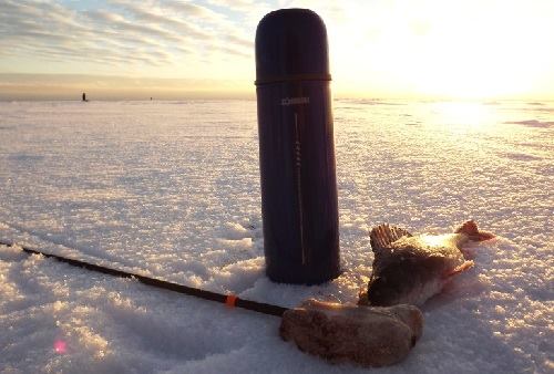 Термос для зимней рыбалки