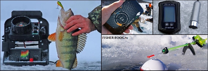 Эхолот для зимней рыбалки (обзор)