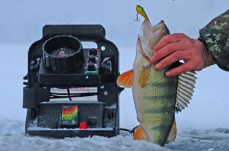 эхолот флешер  для зимней рыбалки