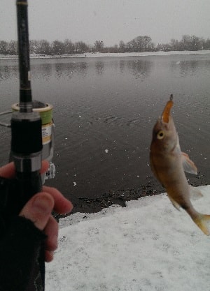Зимняя рыбалка на джиг