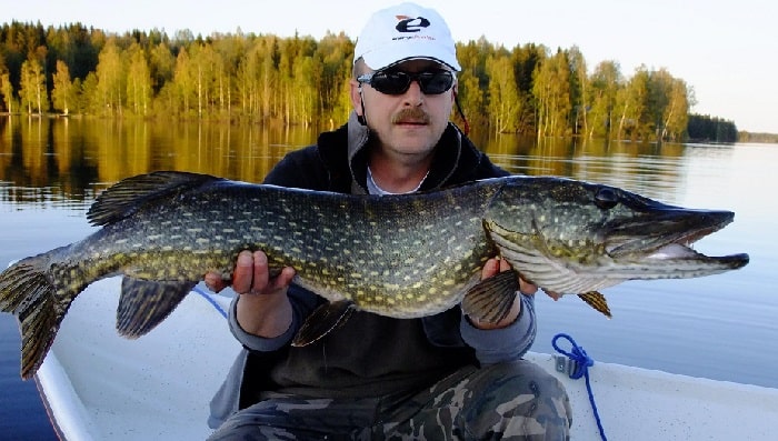 Рыбалка на щуку в Финляндии